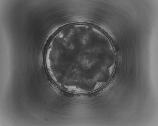 X0000111461023200908031335