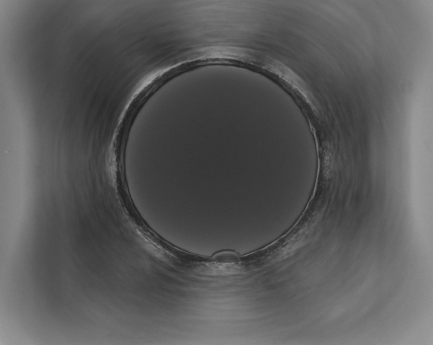 X0000111461024200908031335