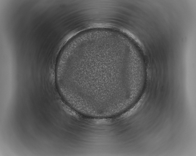 X0000111461025200908031335