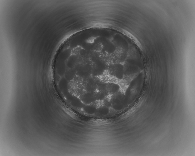 X0000111461027200908031335
