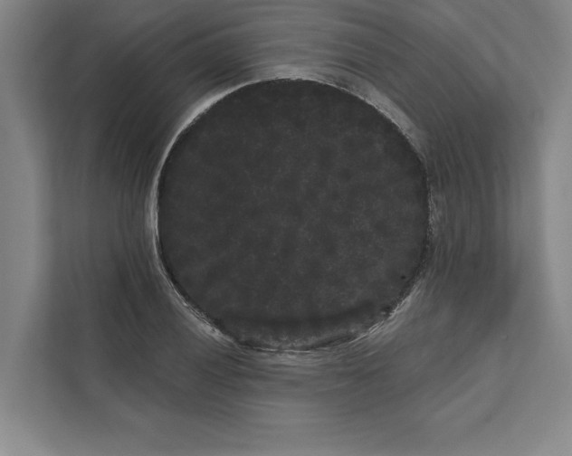 X0000111461028200908031335