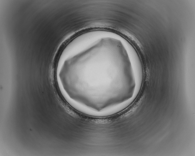 X0000111461029200908031335