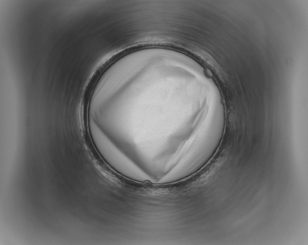 X0000111461030200908031335