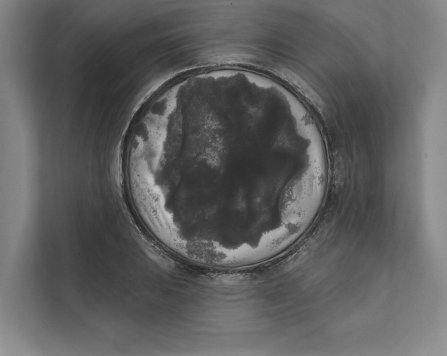 X0000111461031200908031335