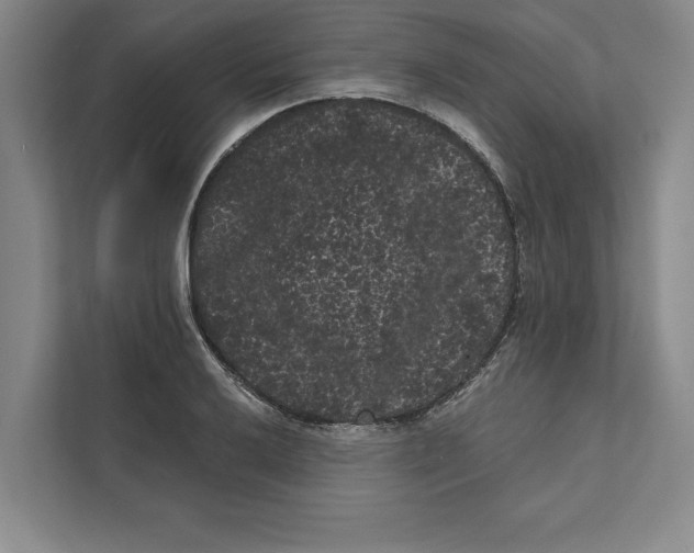 X0000111461032200908031335