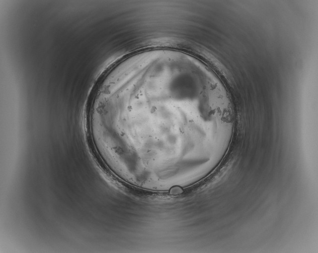 X0000111461034200908031335