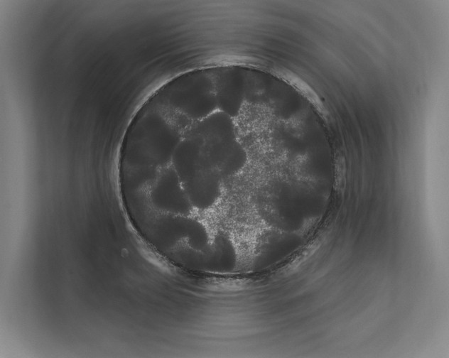 X0000111461039200908031335