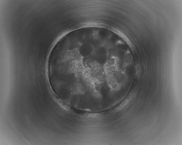 X0000111461043200908031335