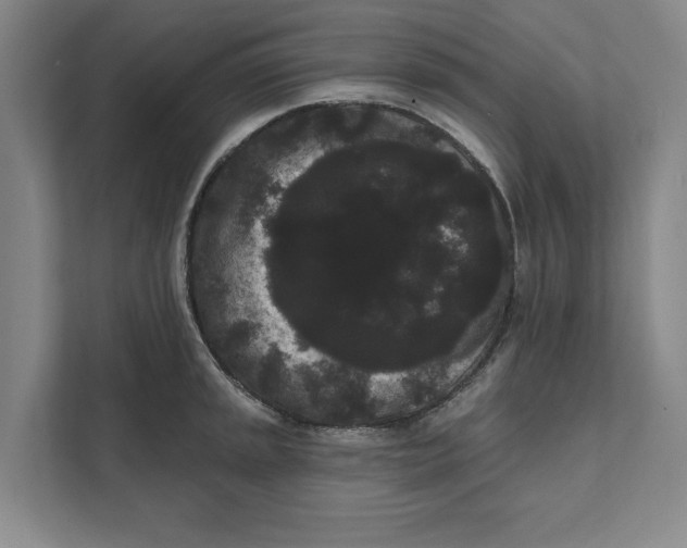 X0000111461045200908031335