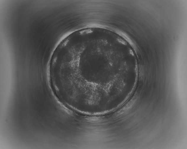 X0000111461048200908031335