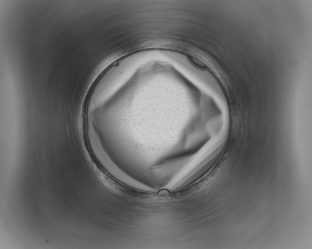 X0000111461050200908031335