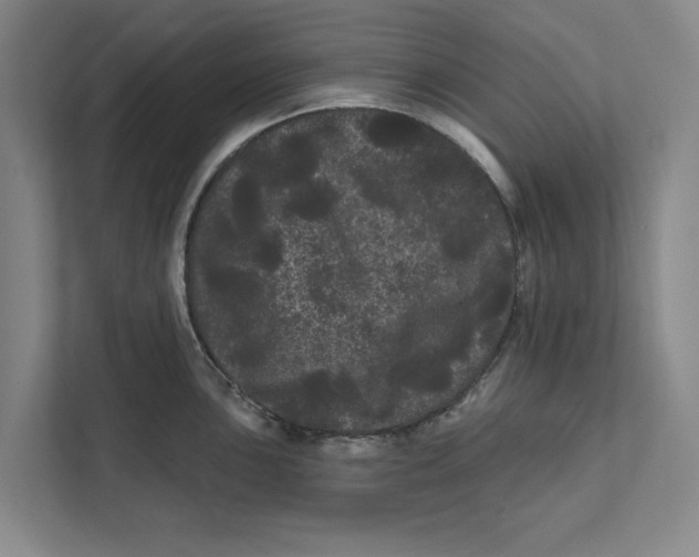 X0000111461051200908031336