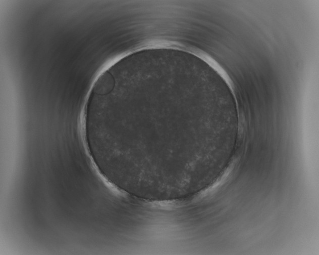 X0000111461053200908031336