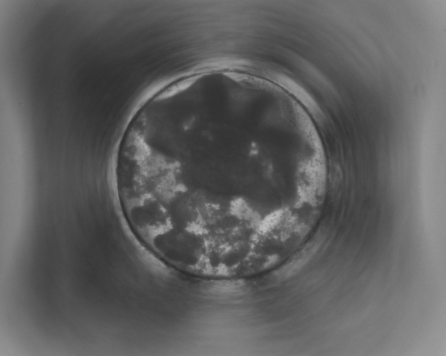 X0000111461055200908031336