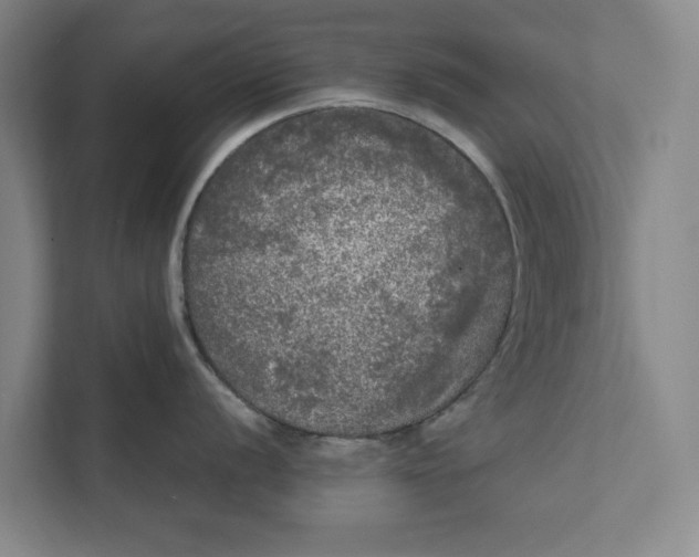 X0000111461056200908031336