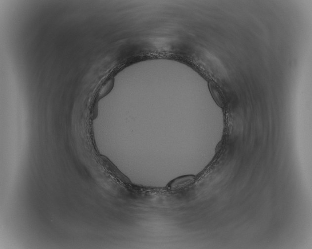 X0000111461057200908031335