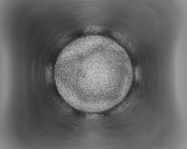 X0000111461059200908031335
