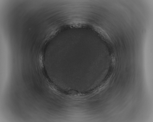 X0000111461060200908031335