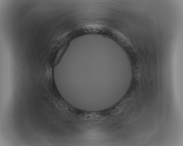 X0000111461061200908031335