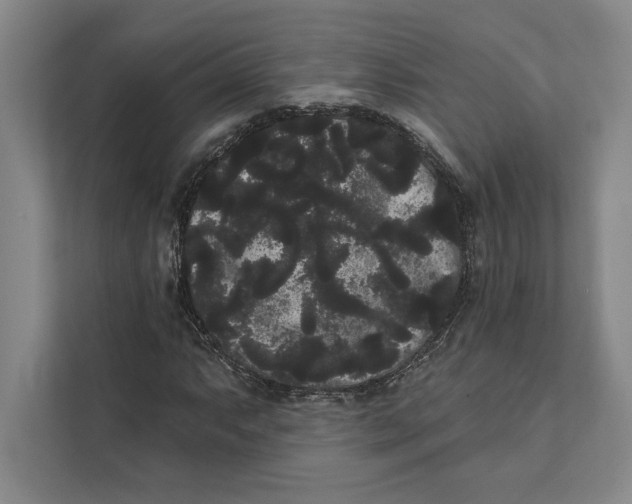 X0000111461063200908031335
