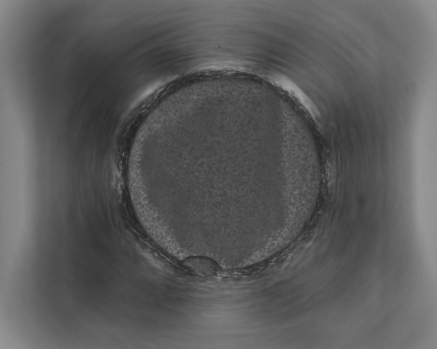 X0000111461064200908031335