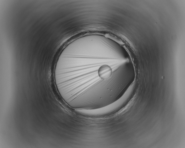 X0000111461065200908031335