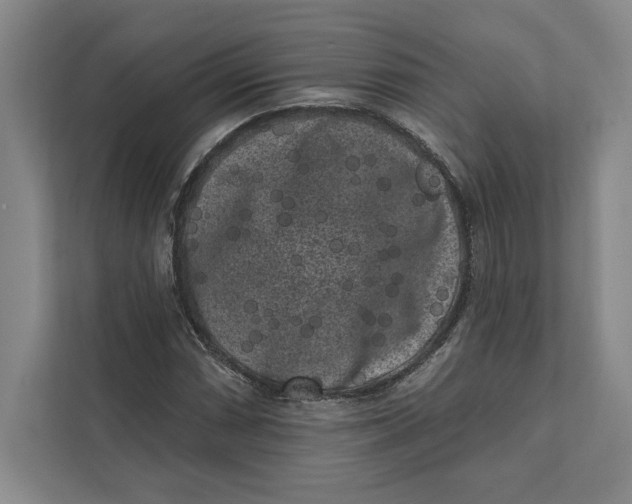 X0000111461066200908031335
