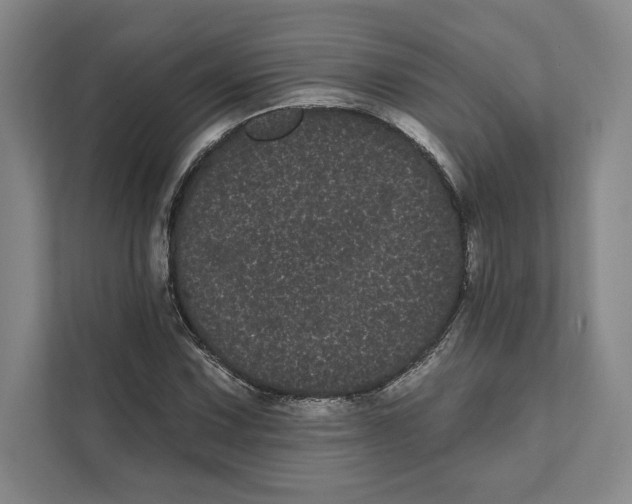 X0000111461067200908031335