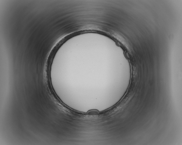 X0000111461068200908031335