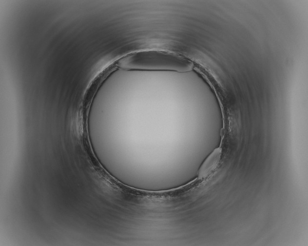 X0000111461069200908031335