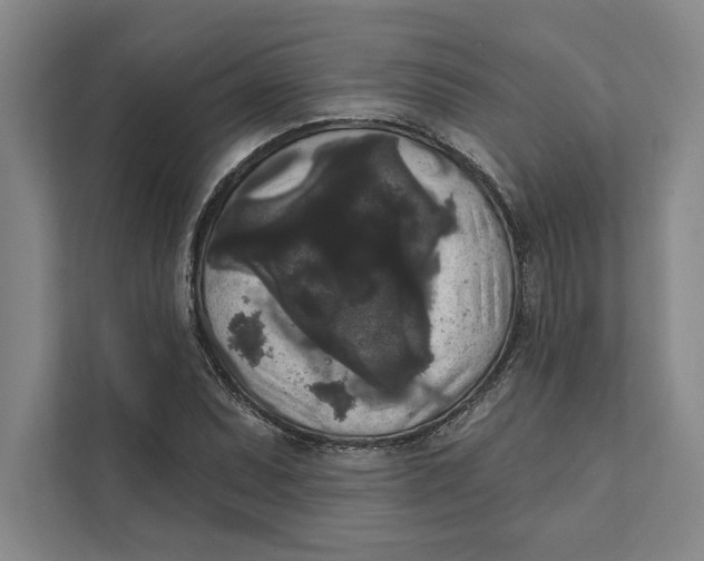 X0000111461071200908031335