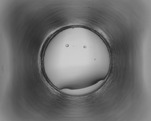 X0000111461072200908031335
