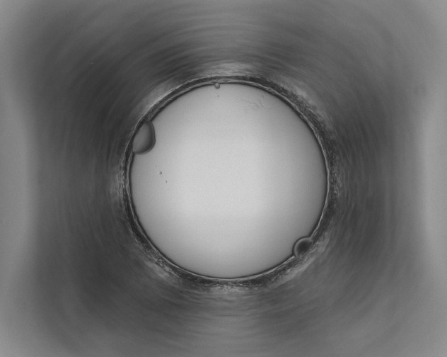 X0000111461073200908031335