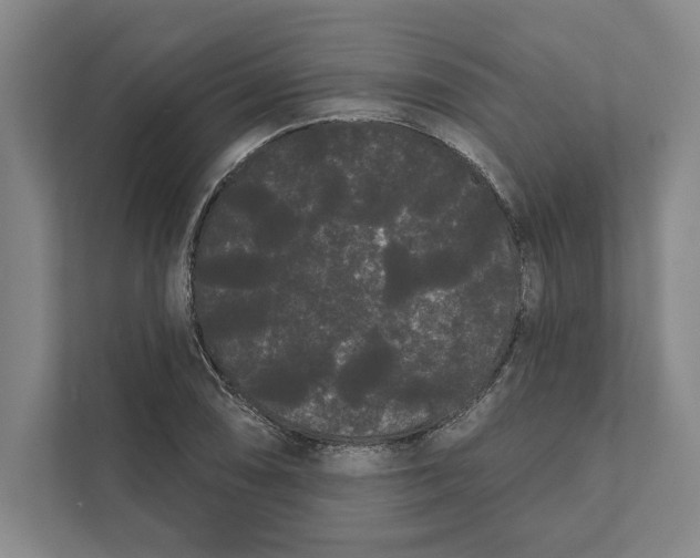 X0000111461074200908031335