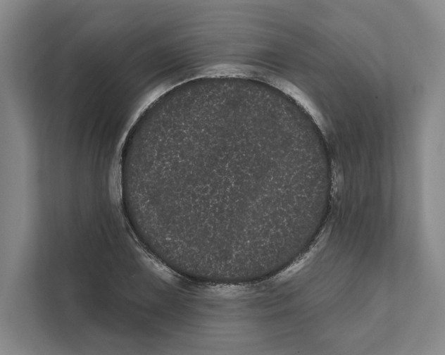 X0000111461075200908031335