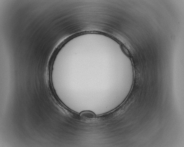 X0000111461076200908031335