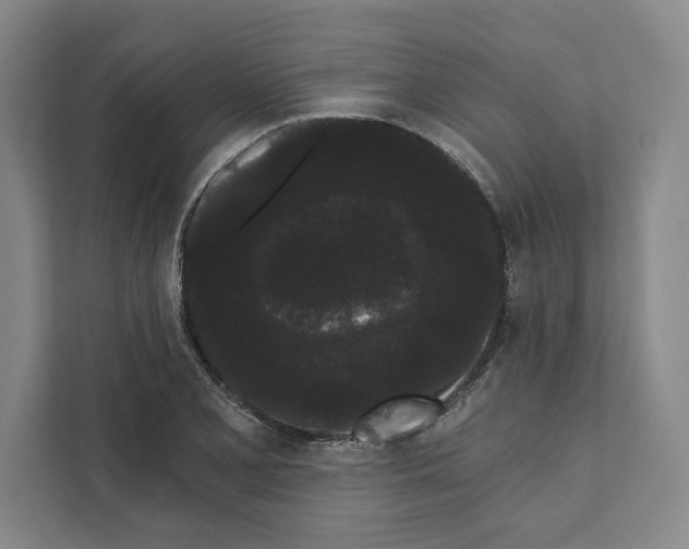 X0000111461077200908031335
