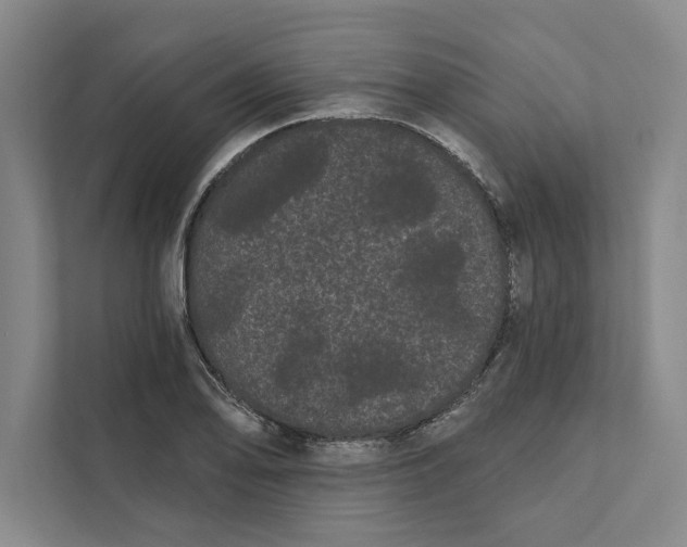 X0000111461078200908031335