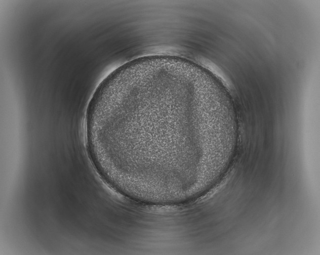 X0000111461079200908031335