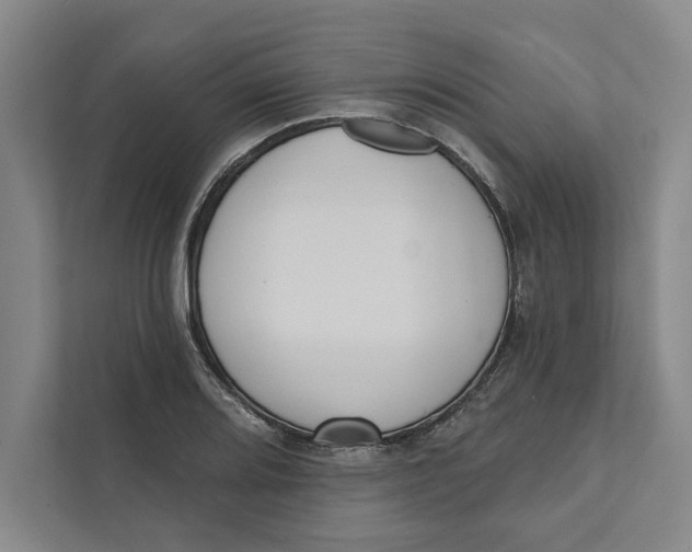 X0000111461080200908031335