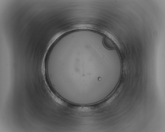 X0000111461082200908031335