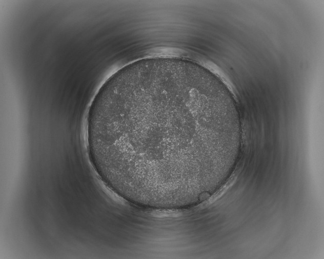 X0000111461083200908031335
