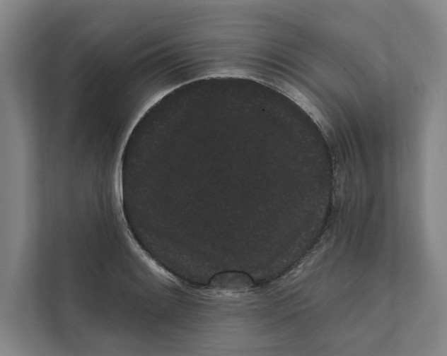 X0000111461084200908031335