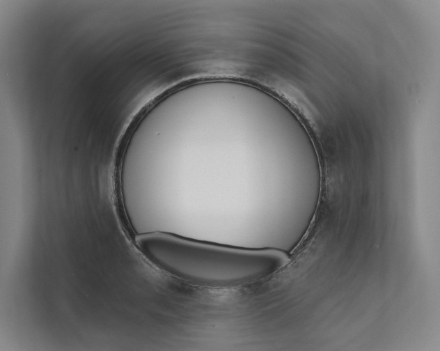 X0000111461085200908031335