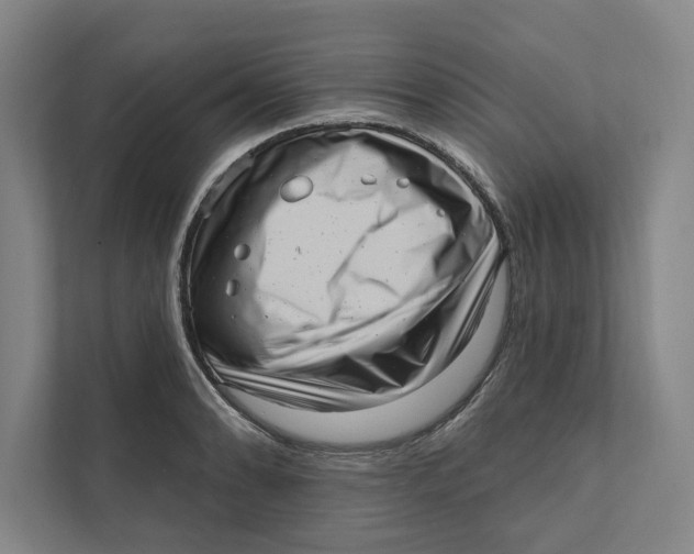 X0000111461086200908031335