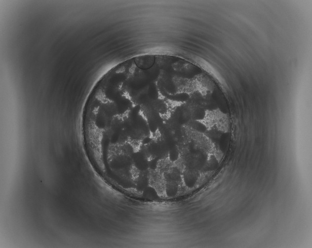 X0000111461087200908031335