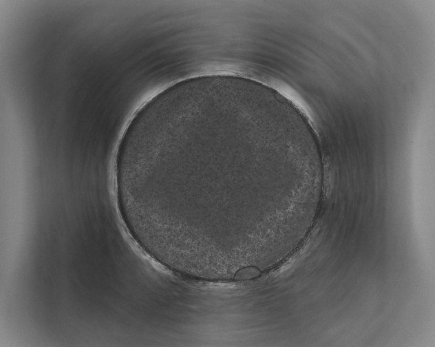 X0000111461088200908031335