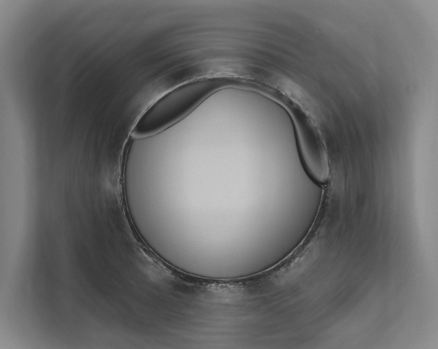 X0000111461089200908031335