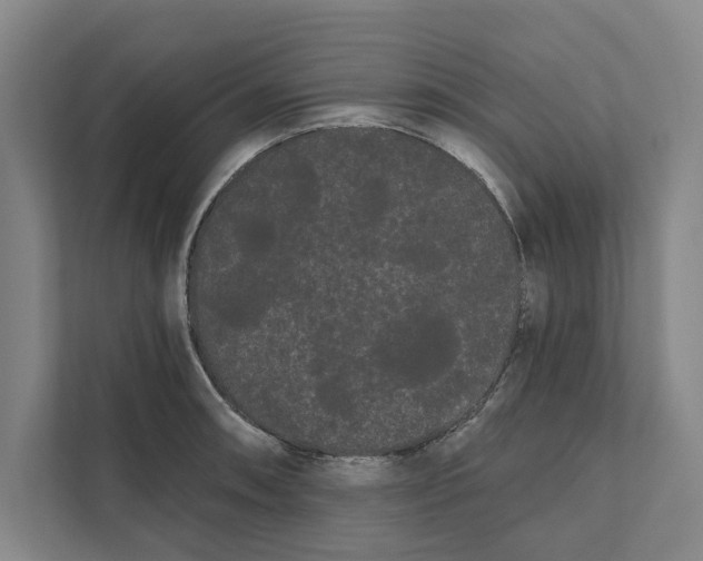 X0000111461090200908031335