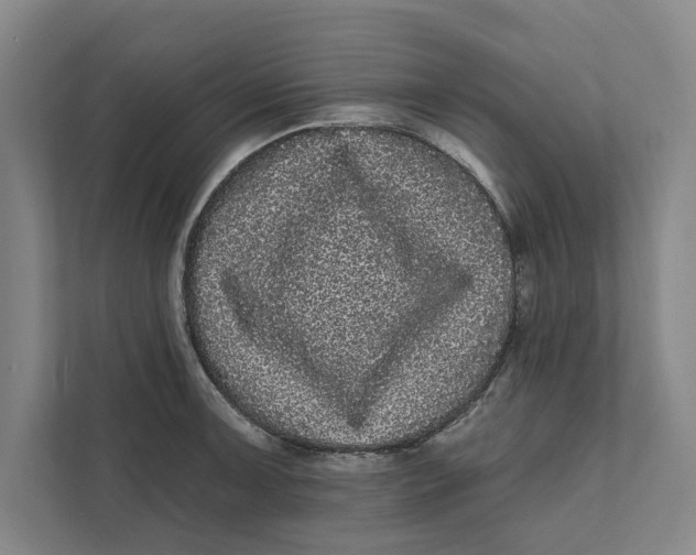 X0000111461091200908031335